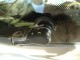Rear_Wiper_Arm.JPG