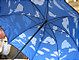 Sky_Umbrella_Top.jpg