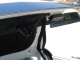 TrunkStrap1.jpg