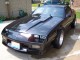 camaro1.jpg