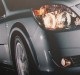 car17.JPG