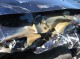 wreck1.JPG