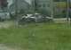 7196rice.JPG