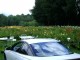 Flowers.jpg