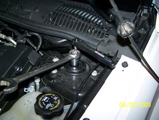 Strut Nut - 1