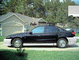 3385pic4_copy.gif