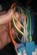 IMAG0335.jpg