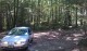 woods.jpg