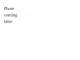 Trailing_Arm_A01.gif