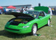 33201-nopinat-10.jpg