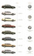 33202l-page30.jpg