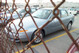 33202-wilm-06.jpg
