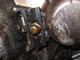 11380Saturn0724.JPG