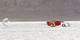 33203-inseed-04.jpg